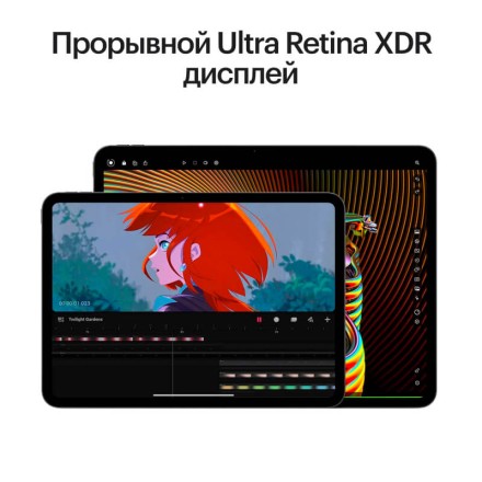 Планшет Apple iPad Pro 11" 2Tb (2024) Wi-Fi + Cellular «черный космос»